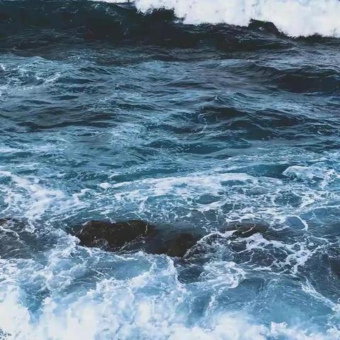 tiktok直播专线供应商