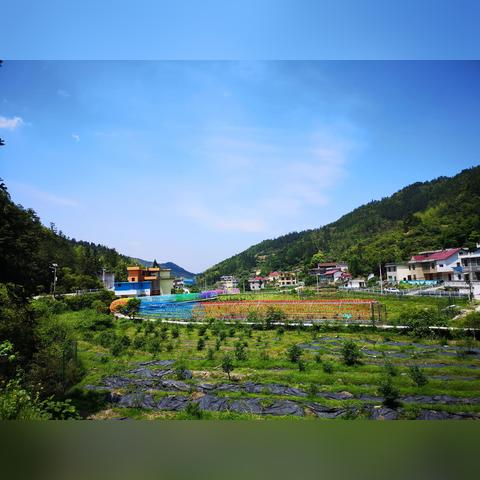 赣州市汽车类职位的长尾关键词有哪些