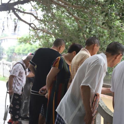 楠楠哈尔滨的相关长尾关键词有哪些