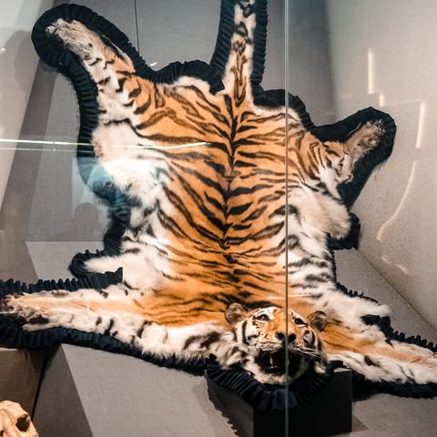 兰州市博物馆盖章在哪里