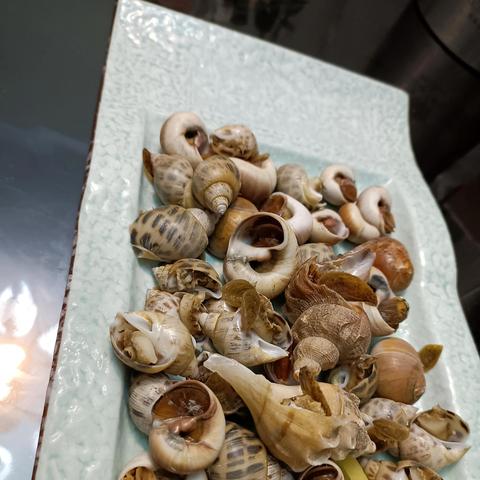 温州市最好的海鲜的长尾关键词有什么