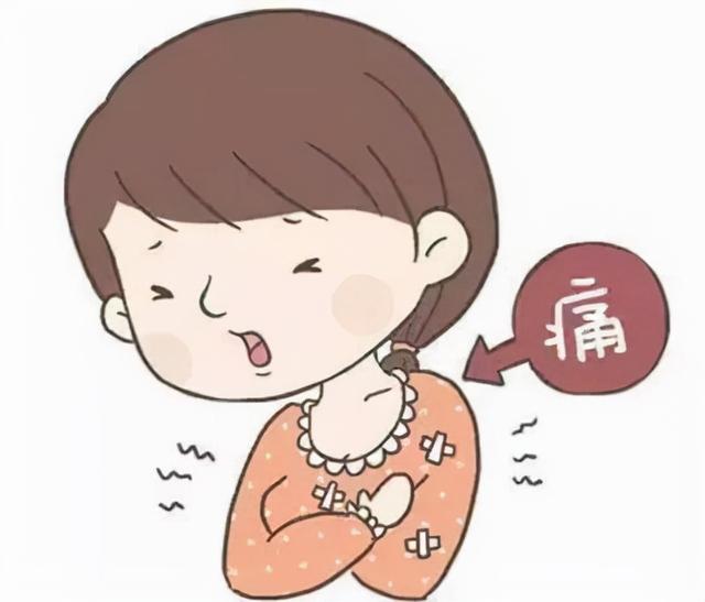 哪些食物怀孕前不能吃