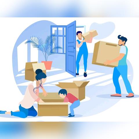 立春前后生肖运势查询大全(立春前后运势变化)