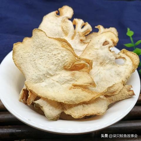 草药学生成的生存之道——在游戏中掌握自然之力