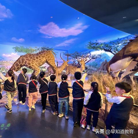 【天津拓展基地】长尾关键词有什么