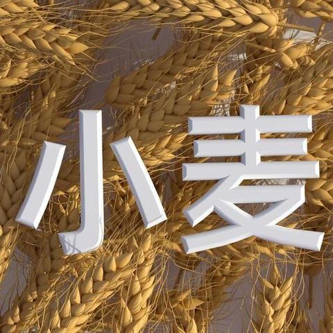 临沂市哪个地区比较发达