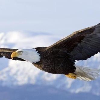 爱电影法国的长尾关键词有哪些 爱电影法国的长尾关键词有哪些