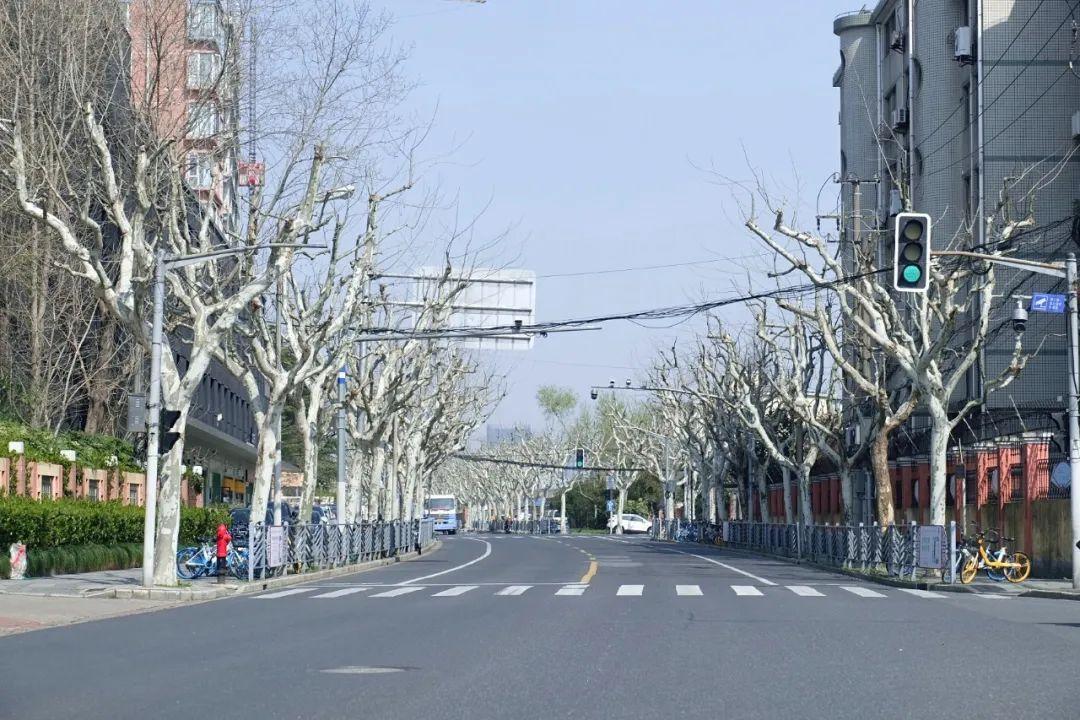 上海预计几号全部解封
(上海几号解封的)-图1 上海预计几号全部解封
(上海几号解封的)-图1