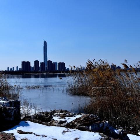 【天津水西公园收费吗】长尾关键词有什么