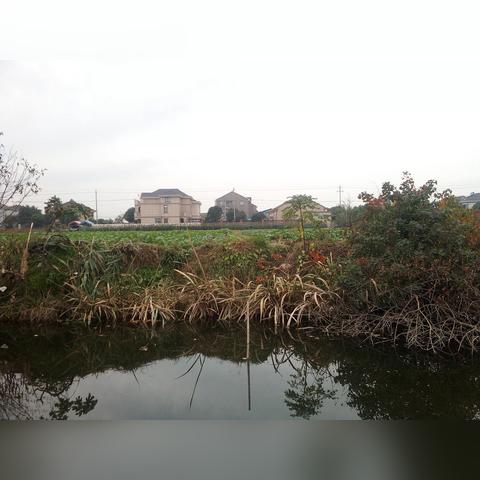 宁波市哪个区封控