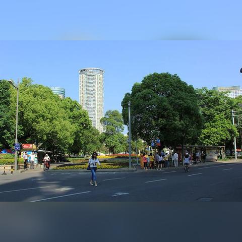宁波市哪个镇工业发达