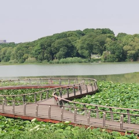 合肥市翡翠湖在什么那