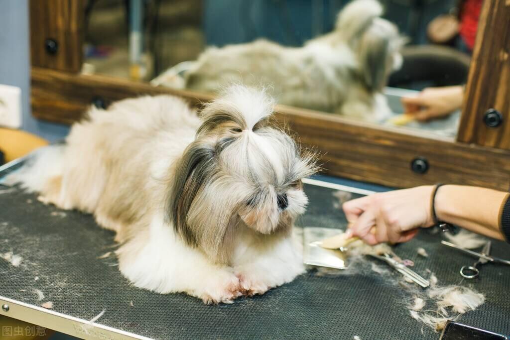 周公解梦梦见自己理发