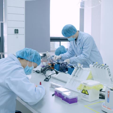 武汉市什么毒株最多