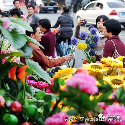 东莞市的花街在哪里