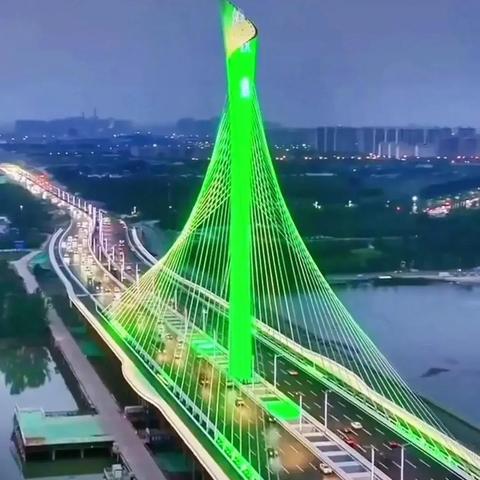 石家庄市市政所电话的长尾关键词有哪些