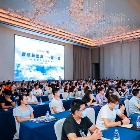 ping跨境支付平台的相关长尾关键词是那些