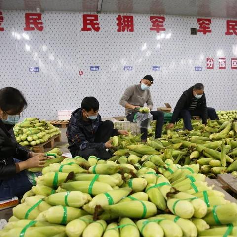 杭州抗疫护士的相关长尾关键词有哪些