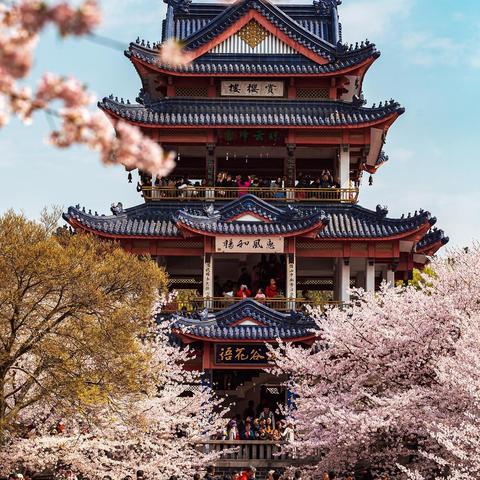 无锡市湖鲜哪里好