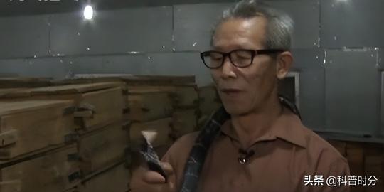 2011年，江西六旬老汉把毒蛇驯得像亲儿子，凭此手艺一年赚1000万