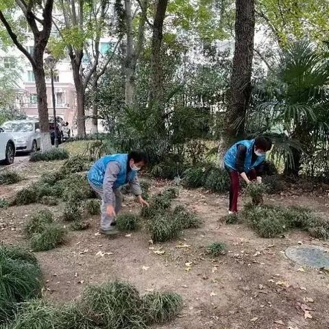 广东省佛山市怡东花园的长尾关键词有哪些