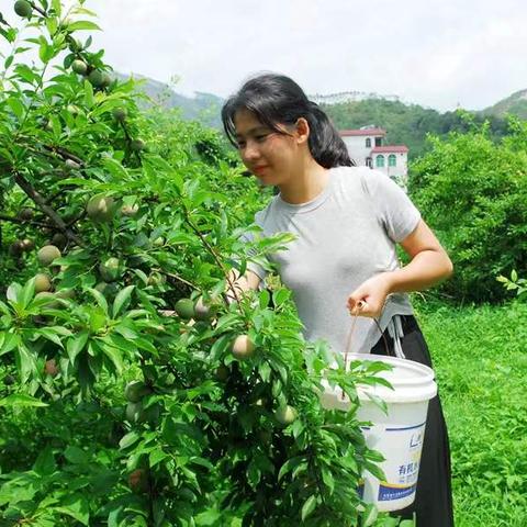 佛山市哪里有磨钩机