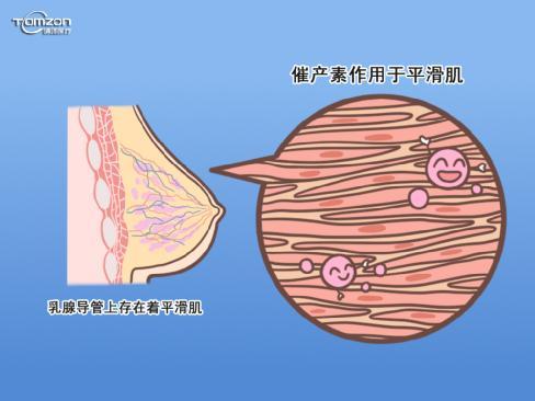 顺产和剖腹产哪个更伤盆底肌