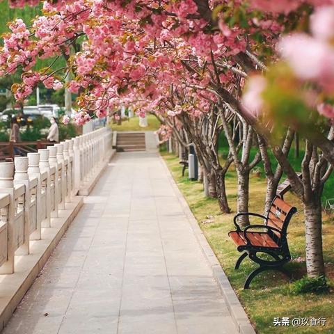 最新临沂市城区地图的长尾关键词有什么