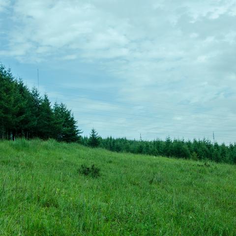 保定市周末自驾哪里玩