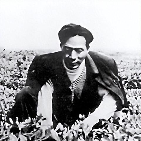 昆明市遗产继承交税的长尾关键词有哪些