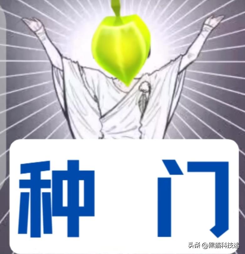 原神里面的种子怎么种(原神白术怎么养)