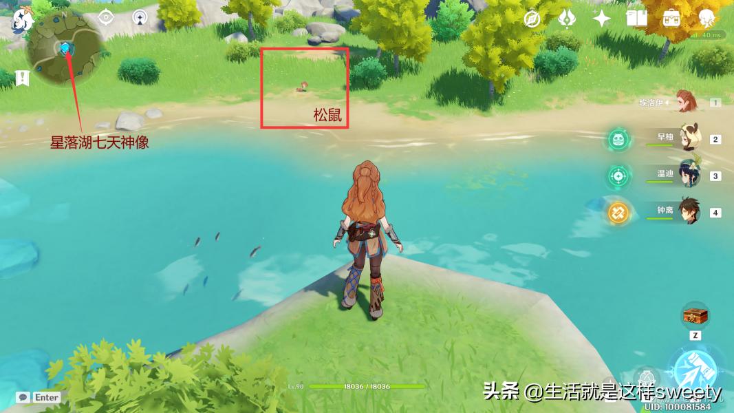 原神里的鱼怎么捕捉（原神禽肉多久刷新）