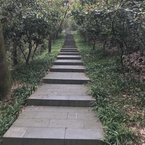 杭州市半山属哪个区