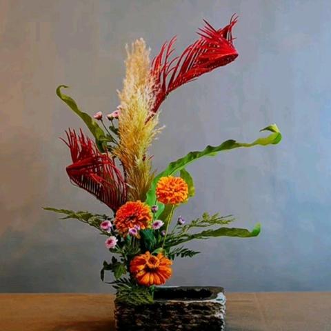 生肖蛇2024年运势(生肖蛇2024年运势大全)