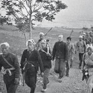 哈尔滨风味鸡脖子相关长尾关键词有哪些