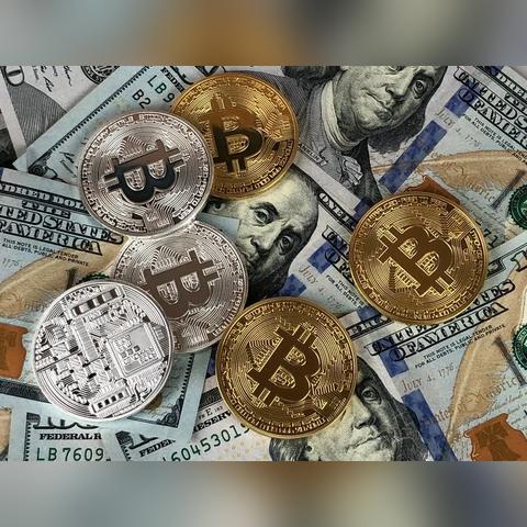 doge狗(doge狗狗币)