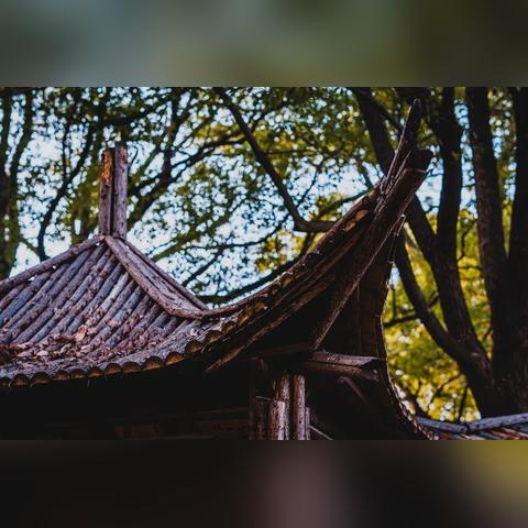 江苏无锡市无锡太湖学院的长尾关键词有什么