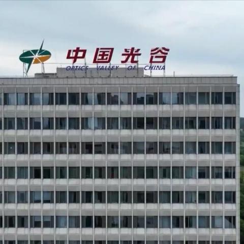武汉市经济支柱是什么