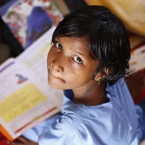 生娃补贴 哈尔滨相关长尾关键词有哪些