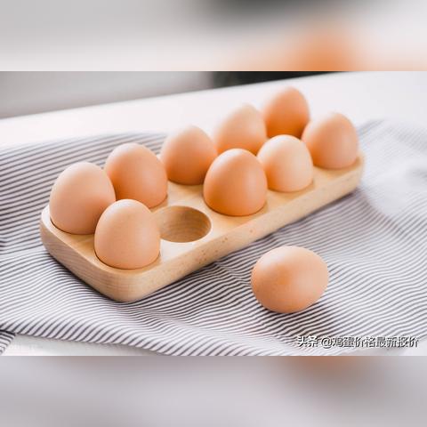 【河南今日鸡蛋价格】2025年6月10日河南鸡蛋价格是多少