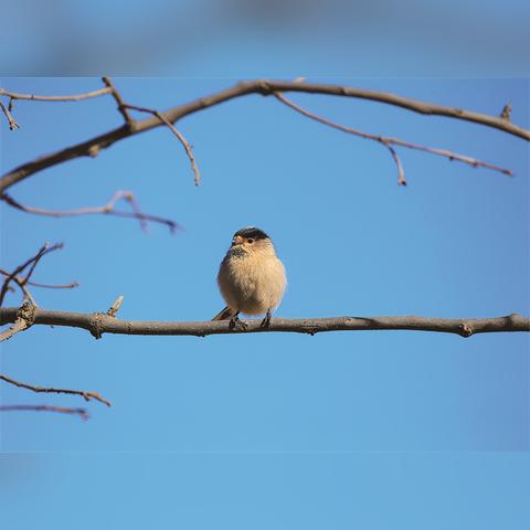 手机电影天堂长尾关键词集合