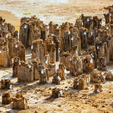 西安河流分布？