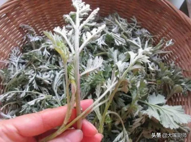 清明过后吃什么美食（你们最近有吃什么美食吗）