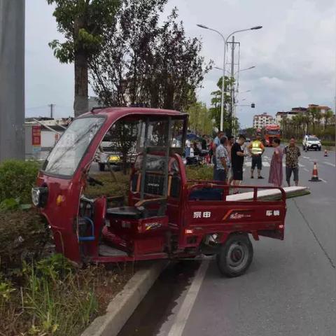 怎么把电动车从上海寄回广西桂林？