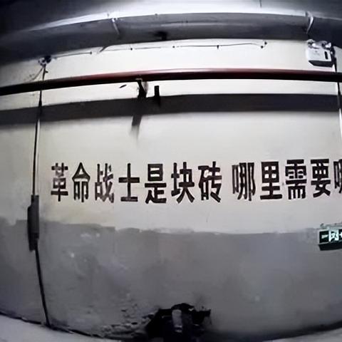 重庆816工程景点地址的长尾关键词有什么