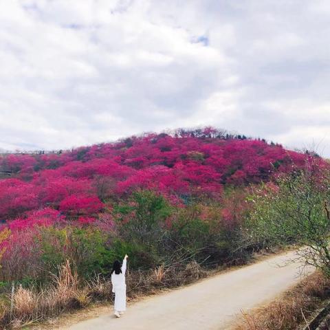广州市离韶关有多少公里