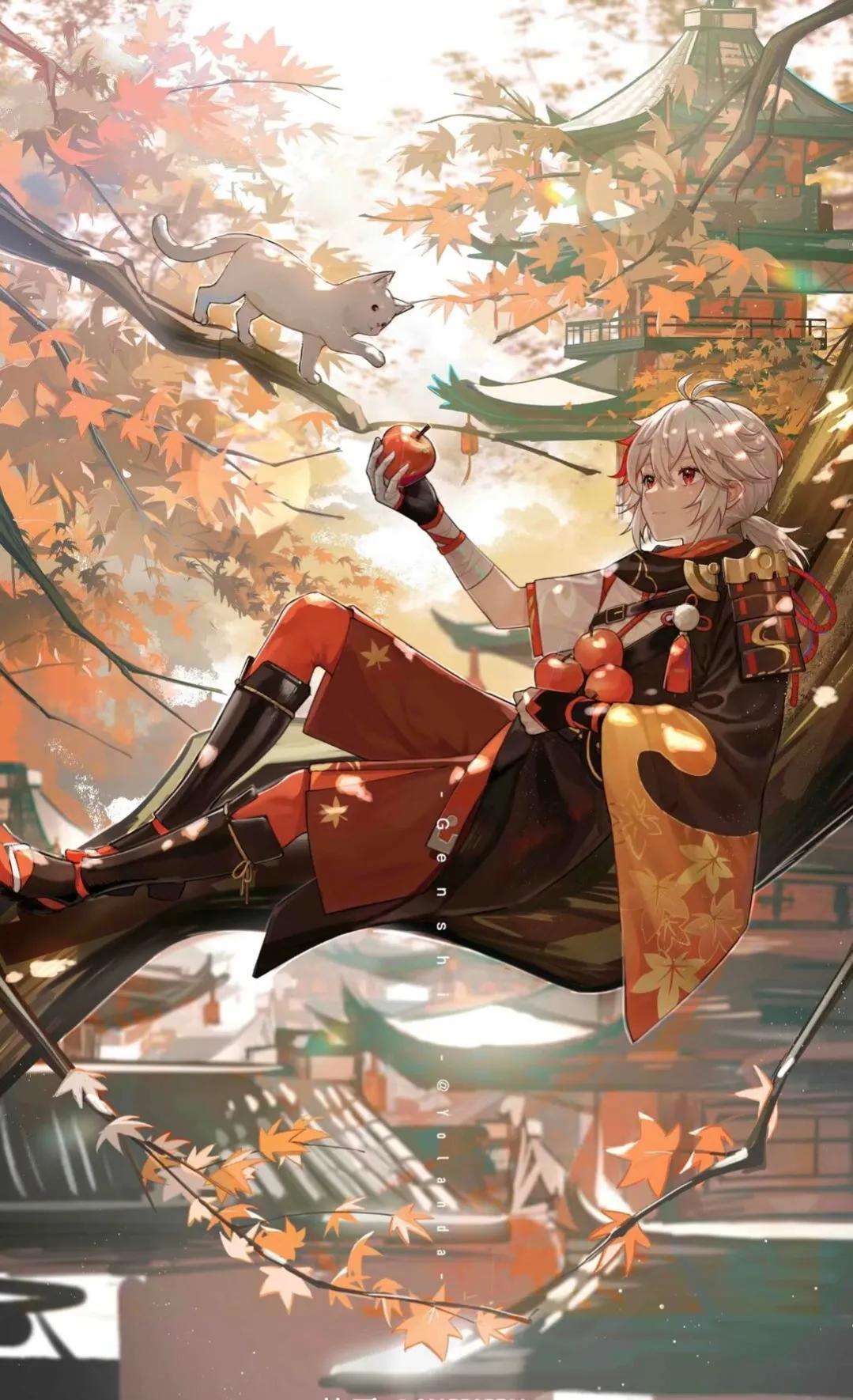 桌面原神壁纸怎么设置（雷神拔刀锁屏动态壁纸怎么弄）