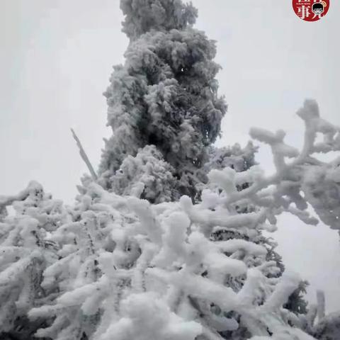 桂林市哪些地方下雪了呢