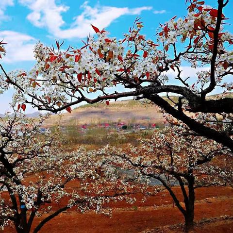 临沂市哪里可以考科一