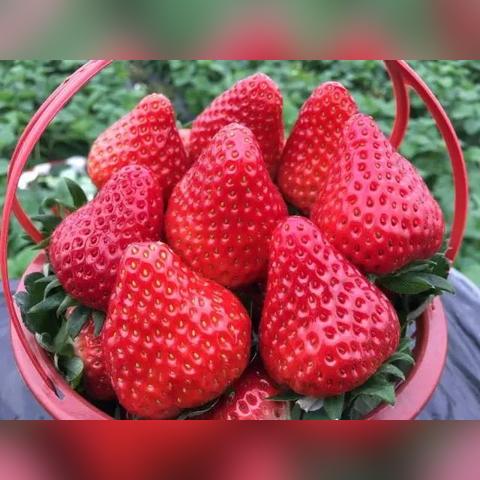 温州市太姥山地图的长尾关键词有哪些